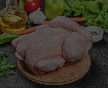 Frozen Chicken Wholesale Exporters